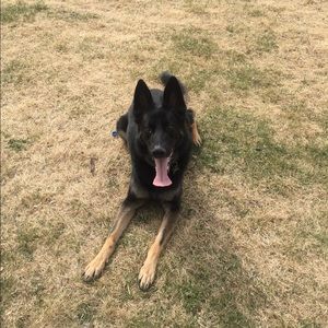 Meet your Posher, Adam